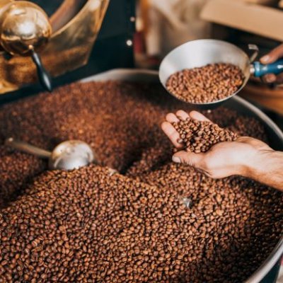 A hand scooping into a barrel of coffee beans 